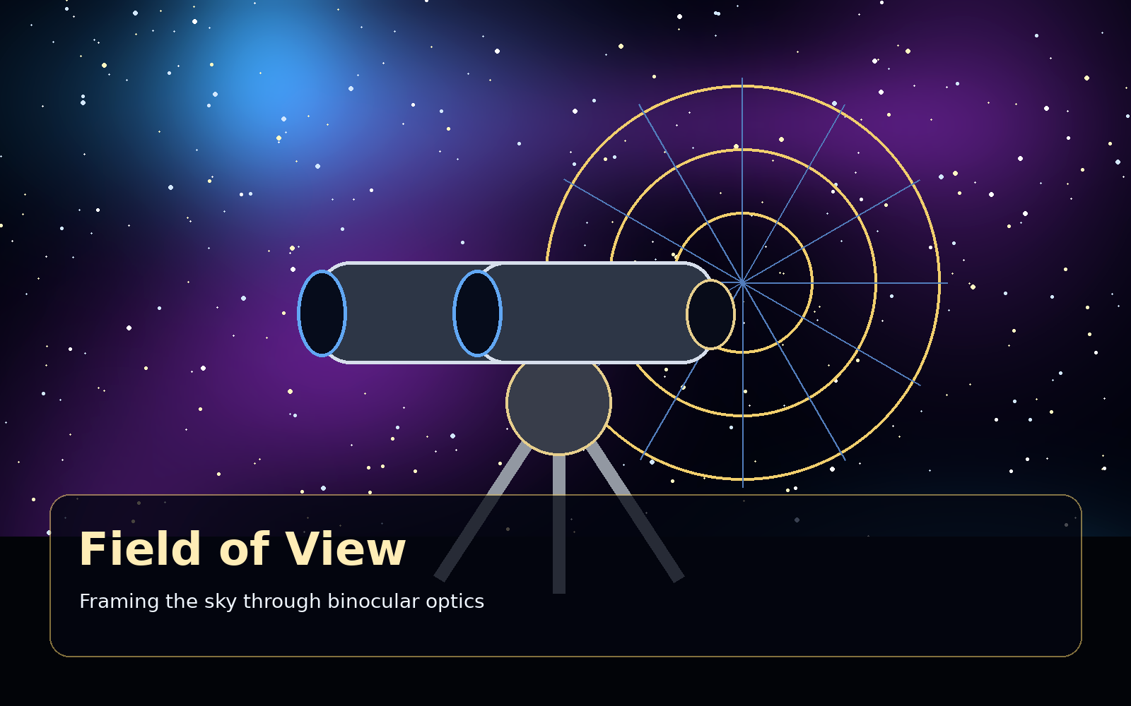 Understanding Field of View in Binoscopes